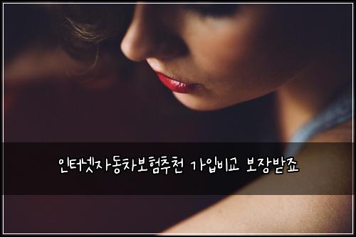 μΈν°λ·μλ차보νμΆμ² κ°μ
λΉκ΅ 보μ₯λ°μ£