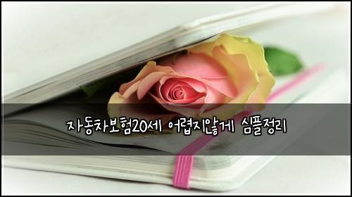 자동차보험20세 어렵지않게 심플정리