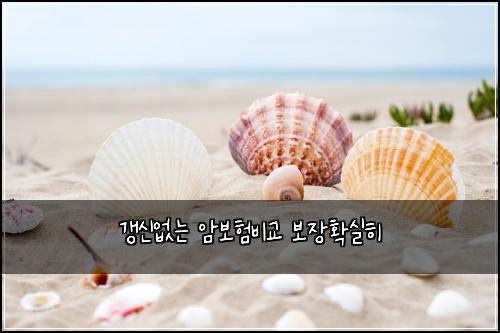 갱신없는 암보험비교 보장확실히