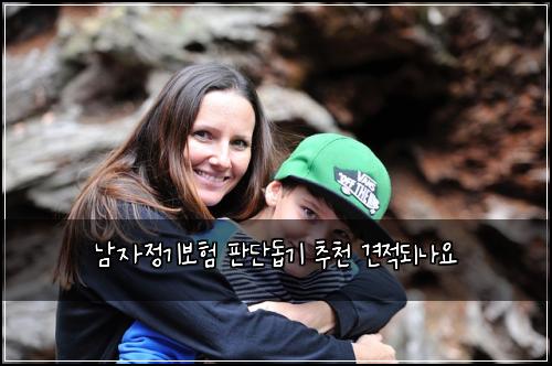 남자정기보험 판단돕기  추천 견적되나요