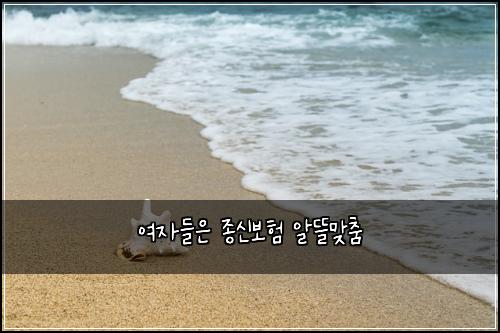 여자들은 종신보험 알뜰맞춤 
