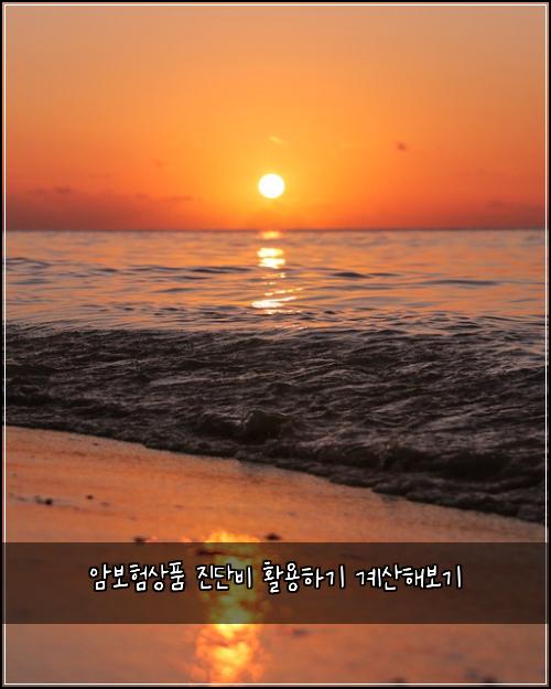 암보험상품 진단비 활용하기 계산해보기