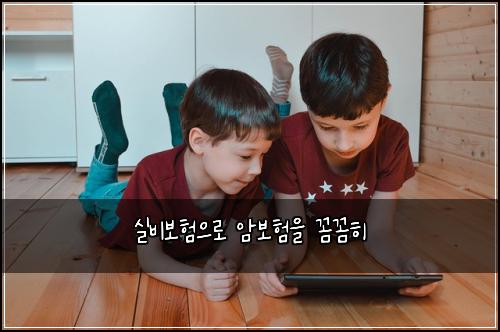 실비보험으로 암보험을 꼼꼼히
