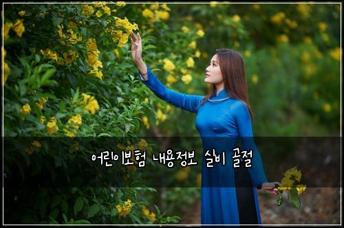 어린이보험 내용정보  실비 골절