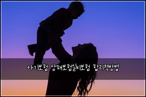 아기보험 상해보험실비보험 합리적방법