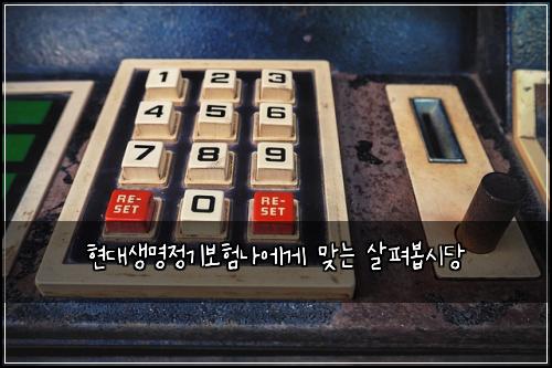 현대생명정기보험나에게 맞는 살펴봅시당