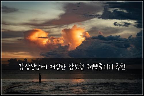 갑상선암에 저렴한 암보험 혜택즐기기  추천