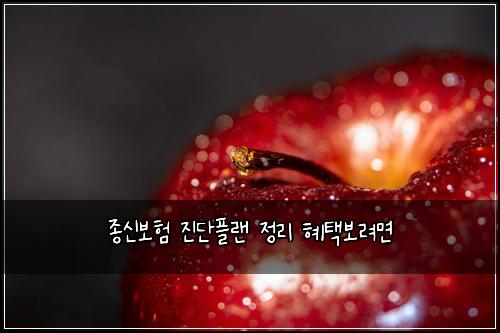 종신보험 진단플랜  정리 혜택보려면