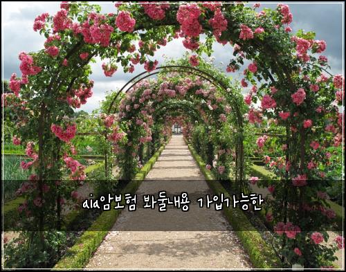 aia암보험 봐둘내용  가입가능한