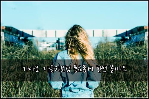 카마로 자동차보험 풍요롭게  한번 볼까요