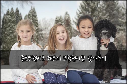 종신보험비교 해보기 보험천사팀 찾아두기