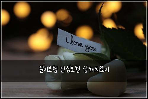 실비보험 안심보험  상해치료비
