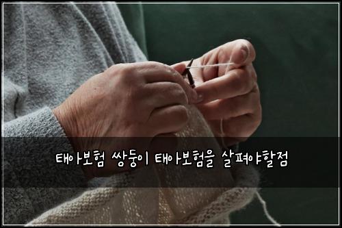 태아보험 쌍둥이 태아보험을 살펴야할점