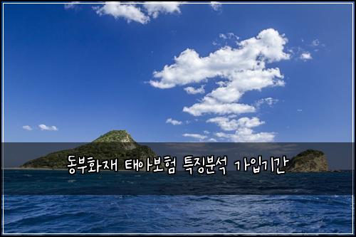 동부화재 태아보험 특징분석  가입기간