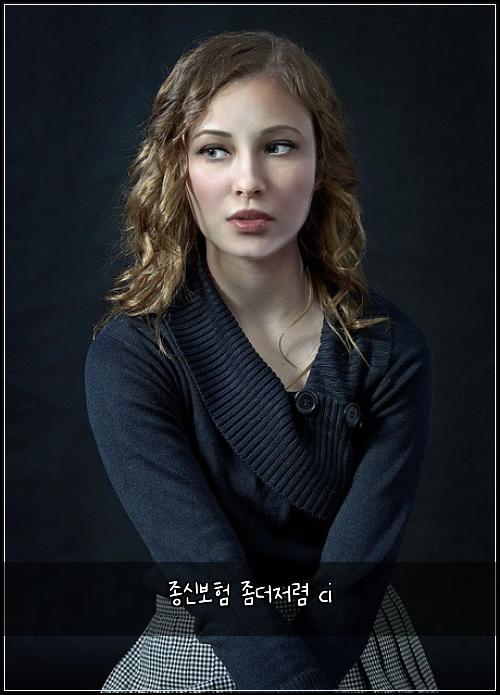 종신보험 좀더저렴  ci