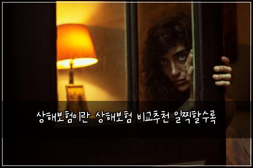 ์ํด๋ณดํ์ด๋ ์ํด๋ณดํ ๋น๊ต์ถ์ฒ ์ผ์ฐํ ์๋ก