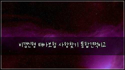 비갱신형 태아보험 사항찾기  통합견적비교