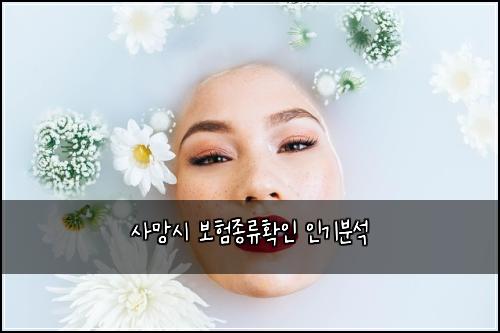 사망시 보험종류확인 인기분석