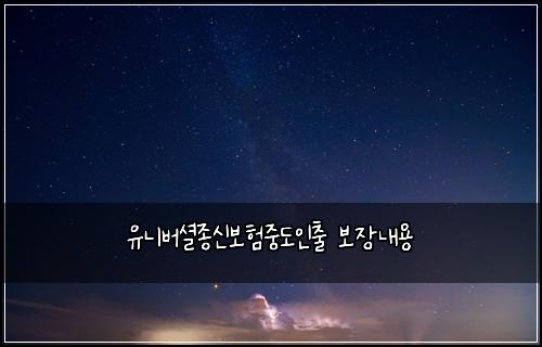 유니버셜종신보험중도인출 보장내용