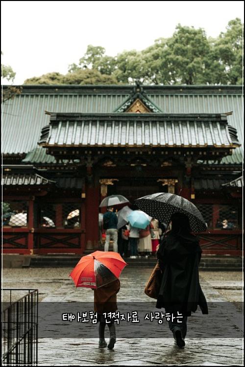 태아보험 견적자료  사랑하는