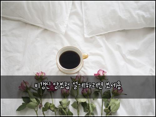 비갱신 암보험 설계하려면  보세용