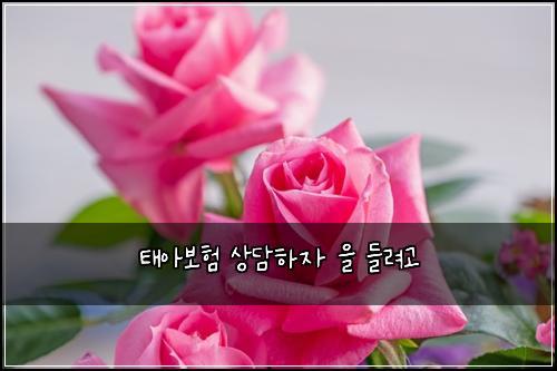 ํ์๋ณดํ ์๋ดํ์ ์ ๋ค๋ ค๊ณ