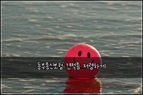 ๋๋ถ์ข
์ ๋ณดํ ๊ฒฌ์ ์ข ์ ๋ ดํ๊ฒ