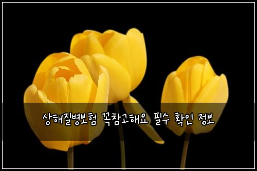 상해질병보험 꼭참고해요  필수 확인 정보