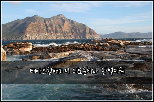 태아보험패키지 의료실비와 완벽지원