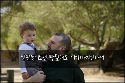 남편정기보험 탁월해요  어디까지인가여