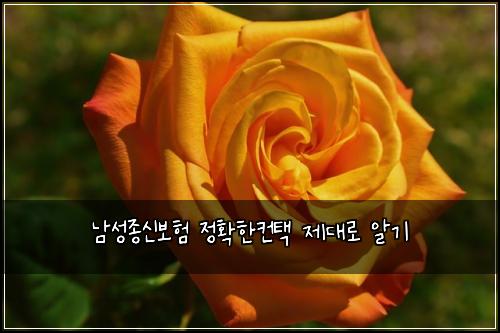 λ¨μ±μ’
μ 보ν μ νν컨ν μ λλ‘ μκΈ°