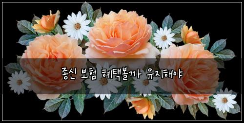 ์ข
์ ๋ณดํ ํํ๋ณผ๊น ์ ์งํด์ผ