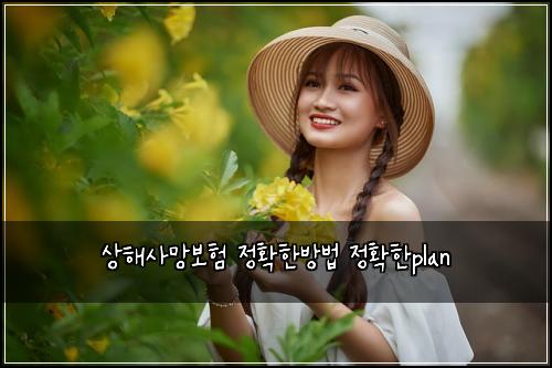 상해사망보험 정확한방법  정확한plan