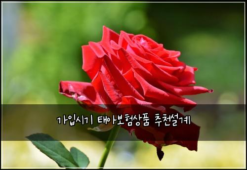 ๊ฐ์
์๊ธฐ ํ์๋ณดํ์ํ ์ถ์ฒ์ค๊ณ