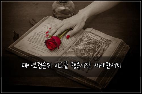 태아보험순위 비교끝 행복시작 세세한서치