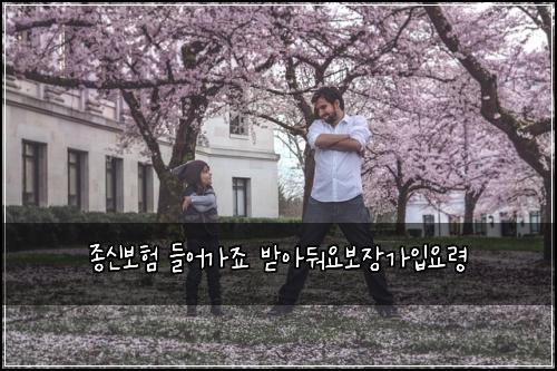 종신보험 들어가죠  받아둬요보장가입요령