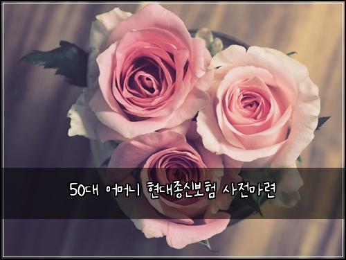 50๋ ์ด๋จธ๋ ํ๋์ข
์ ๋ณดํ ์ฌ์ ๋ง๋ จ