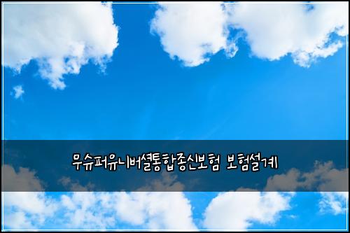 무슈퍼유니버셜통합종신보험 보험설계 