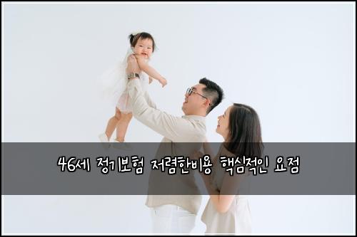 46세 정기보험 저렴한비용  핵심적인 요점
