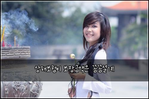 ์ํด๋ณดํ๋น ๋ณด์ฅ๊ธ์ก์ ๊ผผ๊ผผ์ค๊ณ