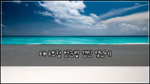 νμ보ν λ°λλ² κ°±μ λͺλ
μ