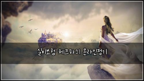 실비보험 체크하긔  온라인정기