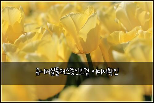 유니버설플러스종신보험 어디서확인 