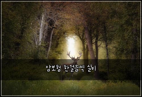 암보험 한걸음씩  실비