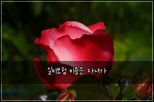 ์ค๋น๋ณดํ ๋น์ฉ์ ์๋
๊ฐ