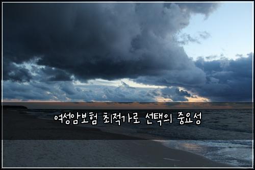 여성암보험 최적가로  선택의 중요성