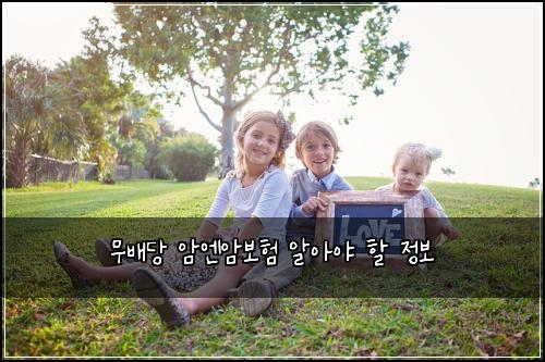 무배당 암엔암보험 알아야 할 정보