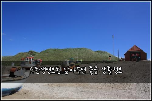 신한생명보험 알아두면 좋을 생활정보
