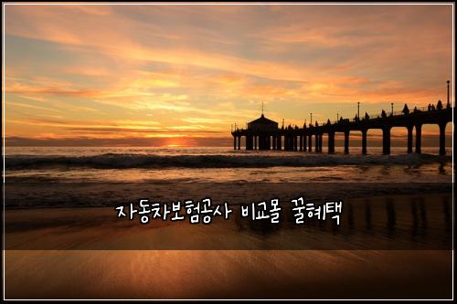 자동차보험공사 비교몰 꿀혜택
