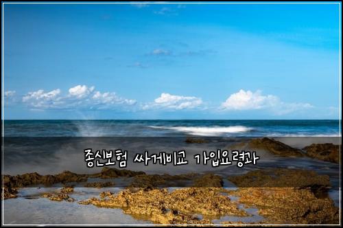 ์ข
์ ๋ณดํ ์ธ๊ฒ๋น๊ต ๊ฐ์
์๋ น๊ณผ
